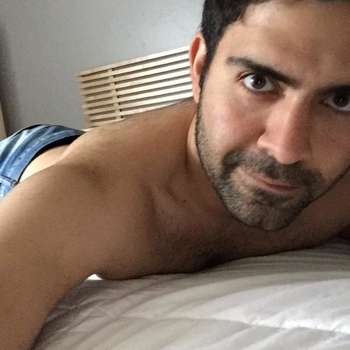 homo zoekt sex dating in Limburg